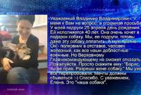 DonDay нашел участницу «Прямой линии», попросившую собаку: Путин выполнил просьбу ростовчанки