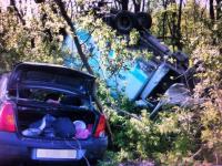 В Ростовской области из-за ДТП «Рено Логан» и ГАЗель вылетели в лесополосу В Ростовской области из-за ДТП «Рено Логан» и ГАЗель вылетели в лесополосу