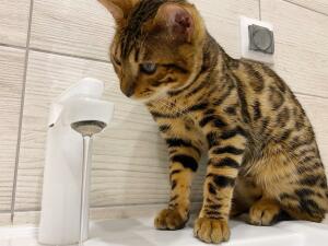 Жители нескольких улиц в Таганроге остались без воды на полдня 9 июня