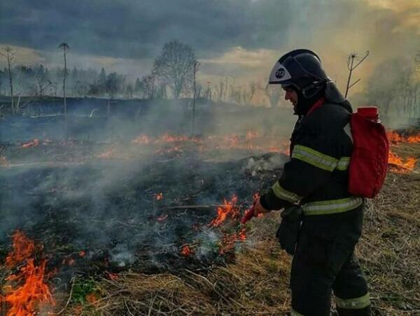 Обгоревшее тело 19-летнего парня нашли в траве в Таганроге