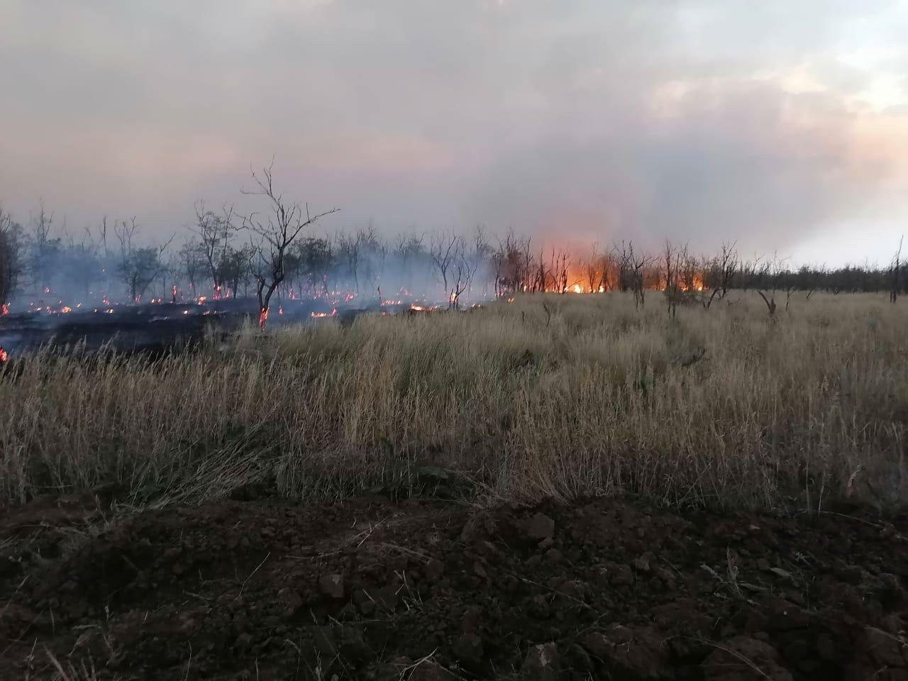 Пожар западный ростов