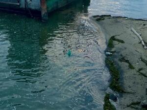 Из-за сильного ветра в Азовском море ожидается повышение уровня воды