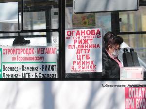 Части пенсионеров Таганрога вернут право на бесплатный проезд