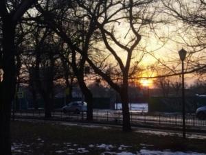 В Таганроге около Центрального рынка сделают пешеходную зону