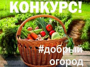 На Дону проходит акция «Добрый огород»