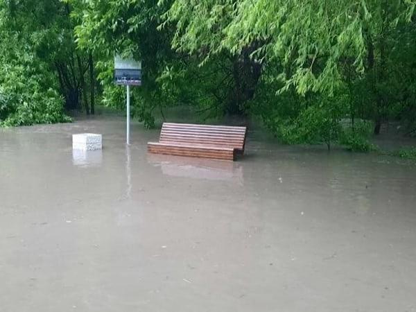 В Таганроге парк Дубки затопило сточными водами