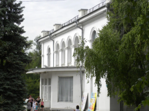 Власти Таганрога ищут подрядчика для капремонта городского дома культуры