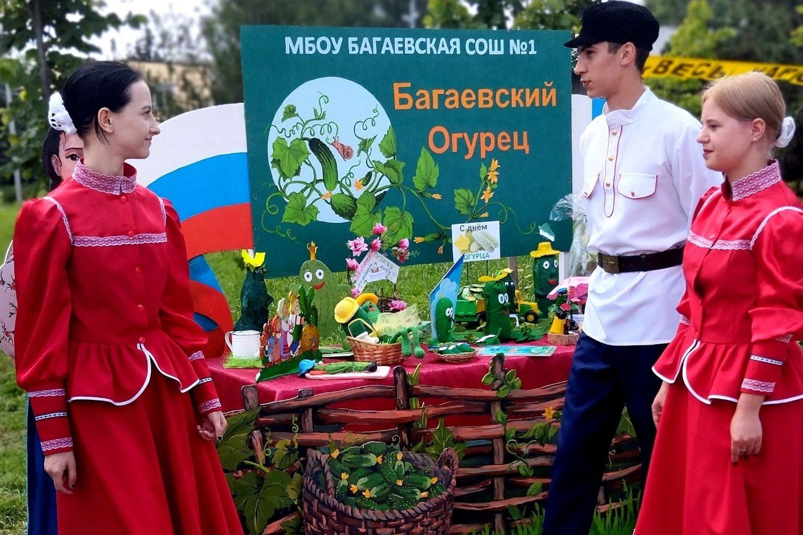 Проект фестиваля народного творчества