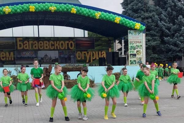 На Дону прошел традиционный праздник «День Багаевского огурца»