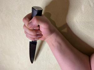 Мальчика, устроившего резню в школе под Таганрогом, отправят в СИЗО