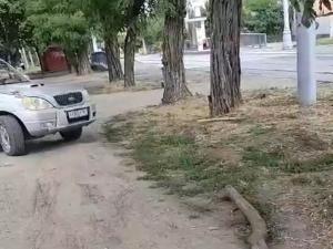 В Таганроге автохам заехал на территорию сквера возле травмпункта