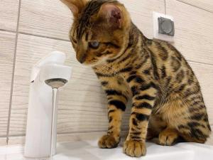 В центре Таганрога ограничили водоснабжение