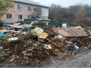 Жители Таганрога пожаловались на зловонную свалку рядом с жилым домом