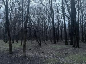 В Таганроге нашли изрезанный труп женщины со скотчем на лице