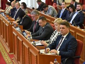 Донские парламентарии расширили меры социальной поддержки многодетных семей