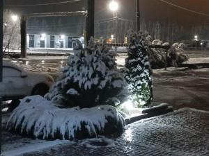В Таганроге на Старый Новый год ожидается мороз до -14 градусов