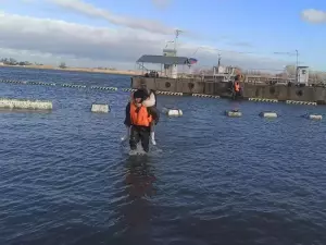 В Таганроге восстановят пострадавший от сильного шторма центральный пляж