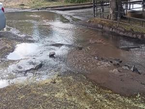 В Таганроге на Сызранова прорвало трубу и затопило двор жилого дома