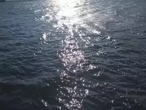 Под Таганрогом утонуло два человека