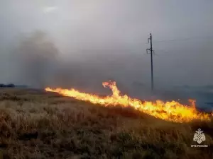В Ростовской области 2 сентября случилось более 100 пожаров