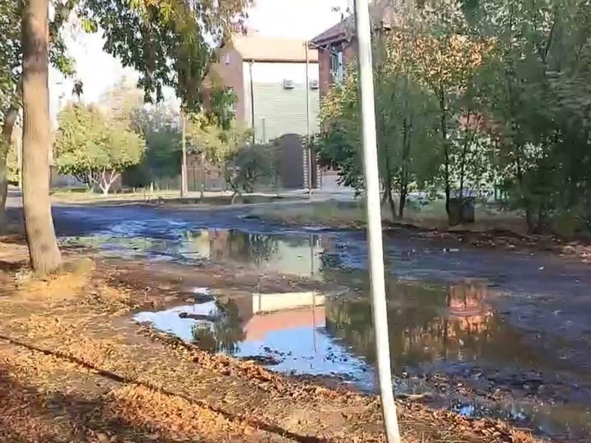 Зловонные реки разлились на улице Выгонной в Таганроге