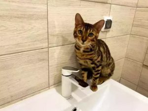 На нескольких улицах Таганрога вода идет с пониженным давлением