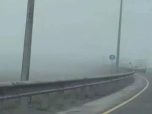 МЧС объявило штормовое предупреждение из-за тумана в Ростовской области