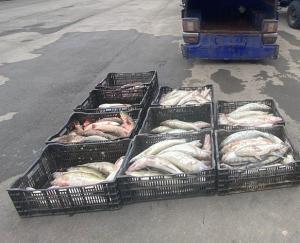 Под Таганрогом задержал мужчин с уловом на 800 тысяч рублей