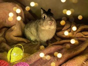 Несколько районов Таганрога остались без света 10 марта