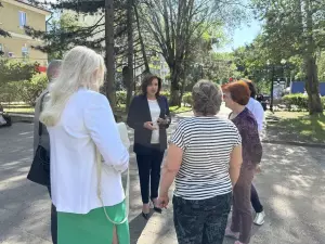 В Ростове на Пушкинской сносят аварийные деревья