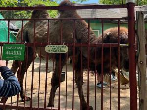 В Таганроге горожане обеспокоены состояния питомцев «живого уголка»