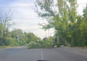 Упавшее из-за ветра дерево перегородило дорогу в Таганроге