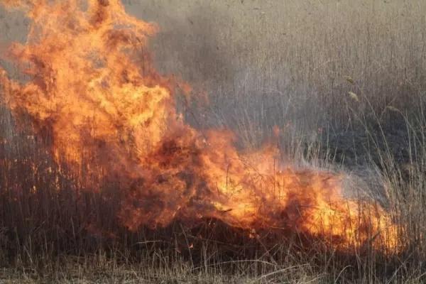 В Ростовской области объявлен чрезвычайный класс пожароопасности