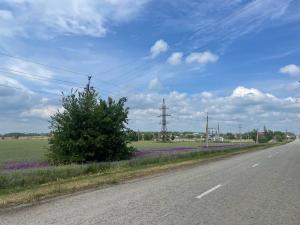 В первую рабочую неделю лета в Таганроге прогнозируют жару до +28 градусов