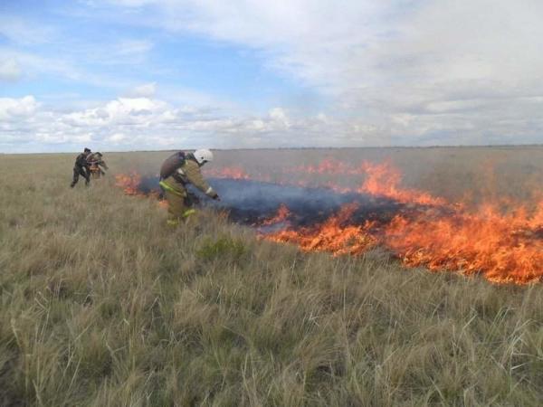 Чрезвычайный и высокий уровни пожароопасности сохраняется в районах под Таганрогом