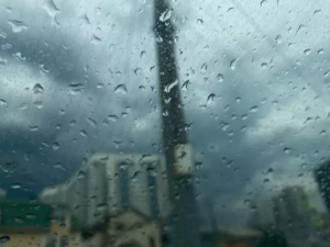 На новой рабочей неделе в Таганроге ожидается дождь