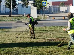 В Ростове выкосили более 2,8 тысяч гектаров сорняка