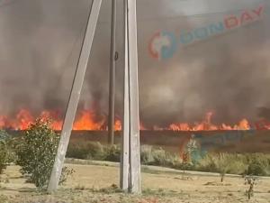 Крупный ландшафтный пожар произошел в селе под Таганрогом