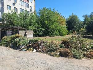 С сентября жителей Таганрога будут штрафовать за выброс листвы в мусорные баки