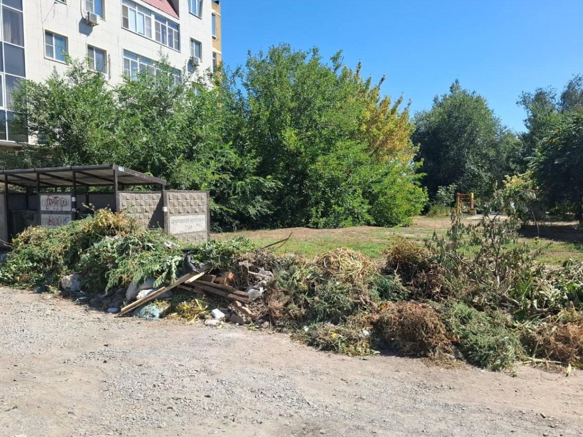 С сентября жителей Таганрога будут штрафовать за выброс листвы в мусорные баки