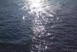 За ночь сбили семь беспилотников над акваторией Азовского моря