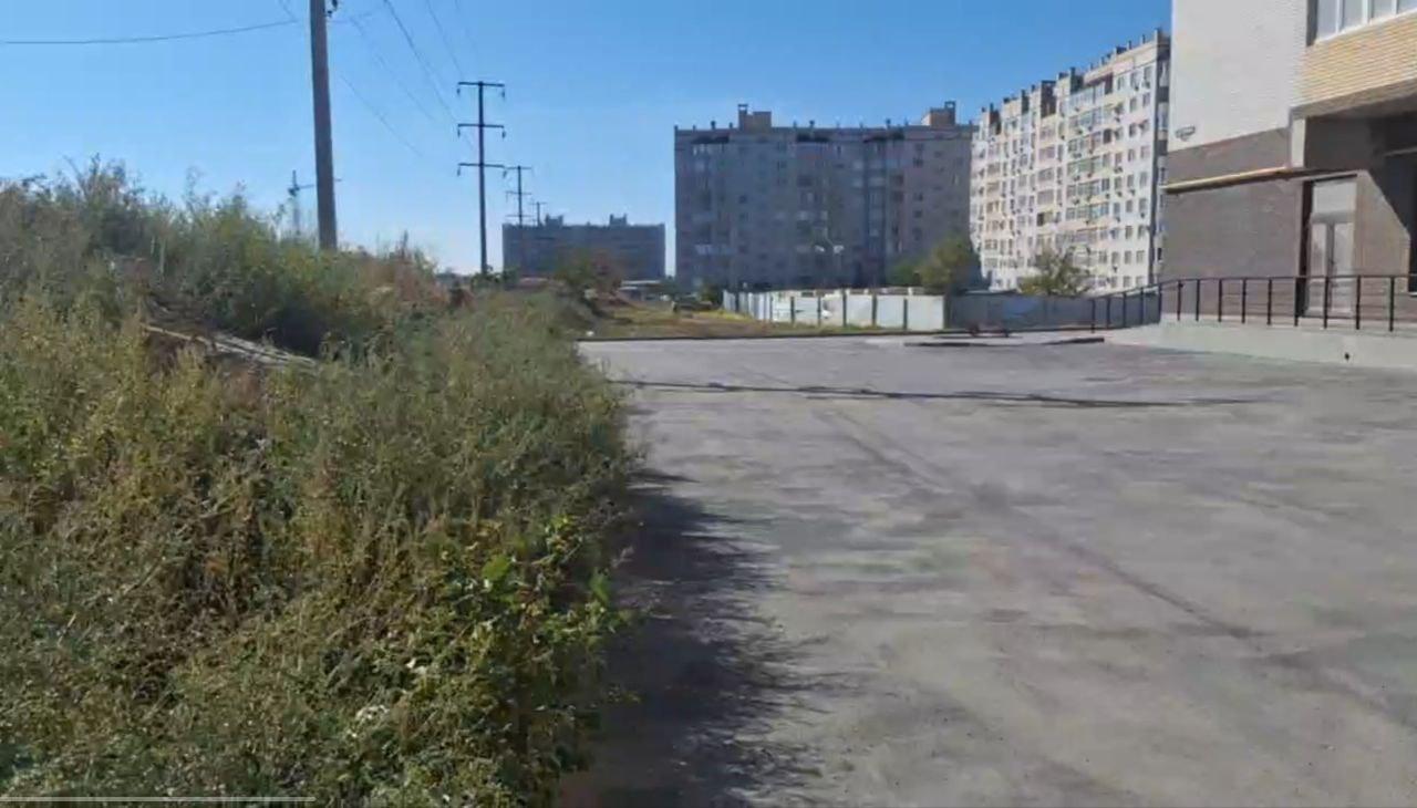 В Таганрога улица Чуева заросла амброзией