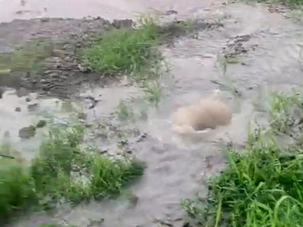 В Таганроге коммунальный фонтан затопил два квартала в 9-м Новом переулке