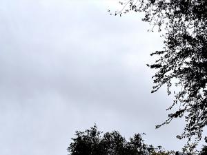 Длинная рабочая неделя в Таганроге ожидается дождливой