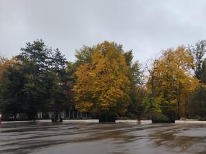 На новой рабочей неделе в Таганроге прогнозируют осадки и похолодание до +6 градусов
