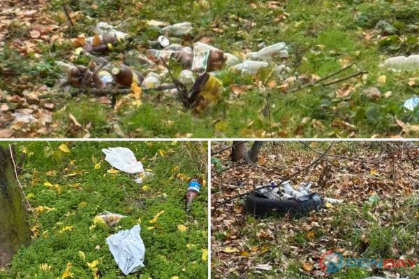 Лесополоса возле вокзала в Таганроге превратилась в свалку