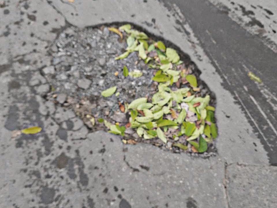 Жители Таганрога жалуются на глубокие ямы на проезде по Дзержинского