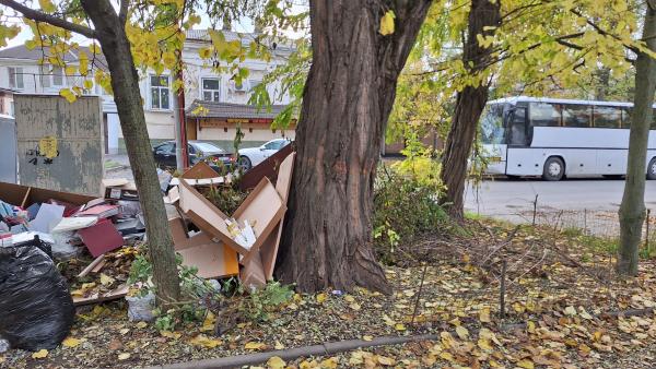 Возле Домика Чехова в Таганроге образовалась свалка