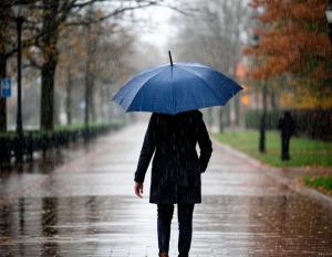 На новой рабочей неделе в Таганроге будет облачно и дождливо