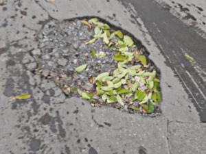 Жители Таганрога жалуются на глубокие ямы на проезде по Дзержинского